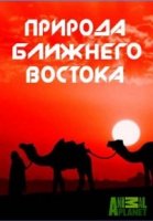 Animal Planet: Природа Ближнего Востока/Wildest Middle East