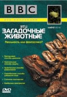 BBC: Эти загадочные животные/Weird Nature